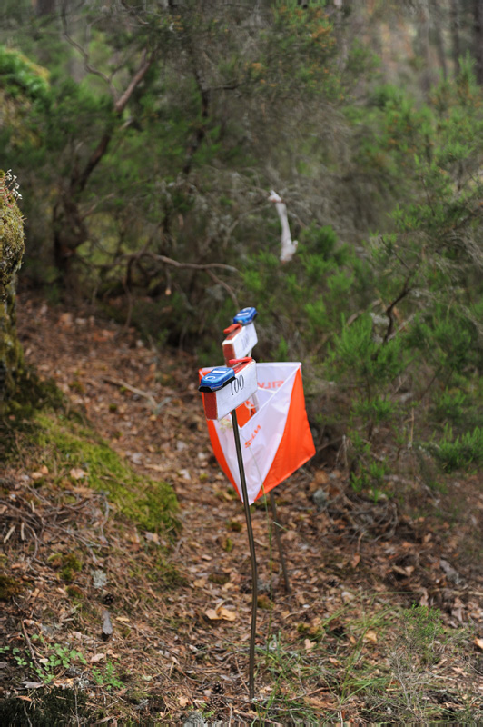 Incomparable clímax Incorporar Qué es una Baliza? Carreras de orientación | Aventuras por las Montañas