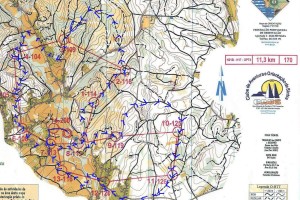 Recorrido medio